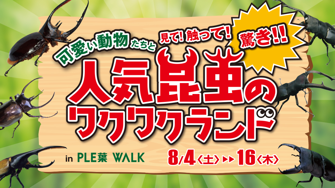 毎年恒例の「人気昆虫のワクワクランド」、触れる動物が増えてパワーアップ！

